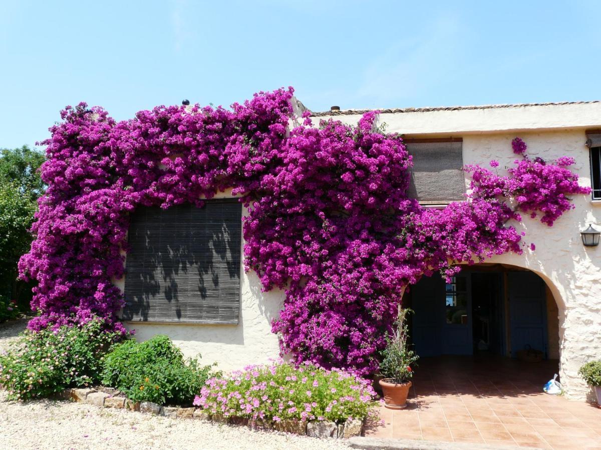 Casa Rural Con Encanto, 4 Hab Con 4 Banos Completos En Suite, Piscina Y Campo Privado Pedreguer Exterior photo